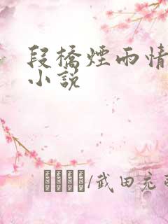 段桥烟雨情难离小说