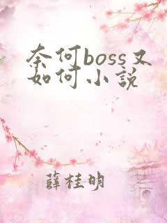 奈何boss又如何小说