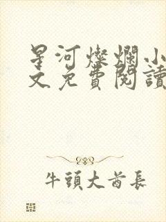 星河灿烂小说全文免费阅读