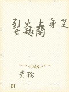 引火上身芝麻糖笔趣阁