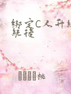 绑定C人升级系统后