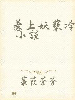 惹上妖孽冷殿下 小说