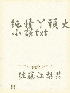 纯情丫头火辣辣小说txt