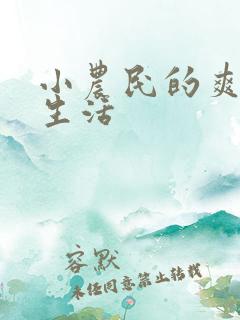 小农民的爽歪歪生活