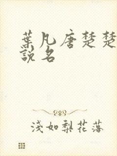 叶凡唐楚楚的小说名