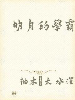 明月的学霸男友