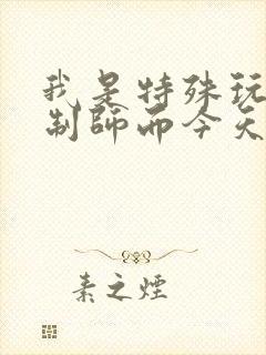 我是特殊玩具定制师而今天的客户