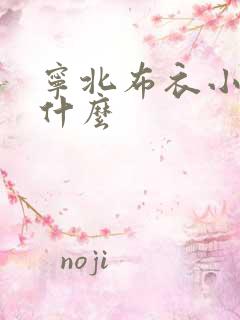 宁北布衣小说叫什么