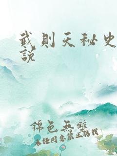 武则天秘史 小说