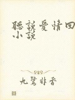 听说爱情回来过小说
