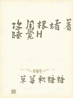 攻用根堵着小受睡觉H