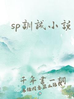 sp训诫小说