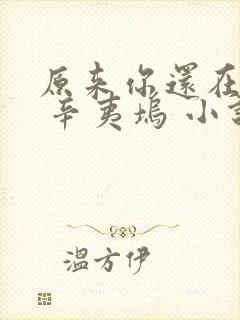 原来你还在这里 辛夷坞 小说