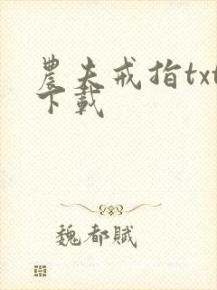 农夫戒指txt下载