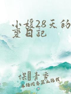 小媛28天的剧变日记