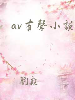 av有声小说