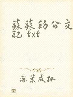 苏苏的公交车日记 txt