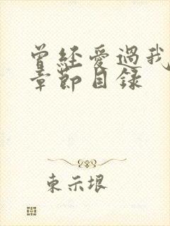 曾经爱过我刘念章节目录