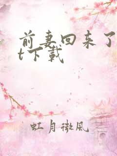 前妻回来了txt下载