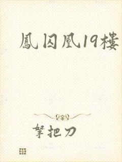 凤囚凰19楼