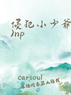 侵犯小少爷(H)np