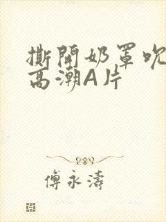 撕开奶罩吮奶头高潮A片