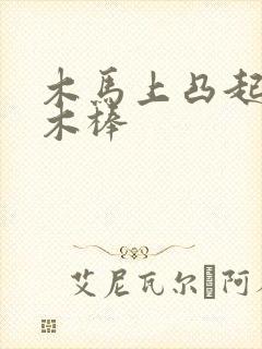 木马上凸起电动木棒