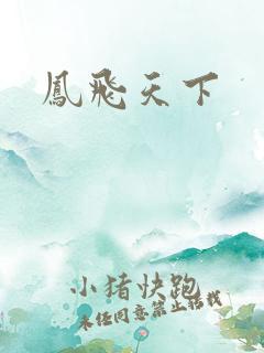 凤飞天下