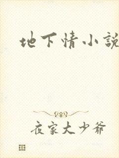 地下情小说