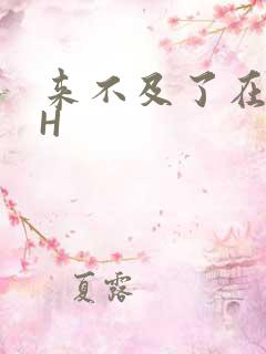 来不及了在车CH