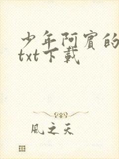 少年阿宾的故事txt下载