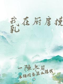 我在厨房摸岳的乳