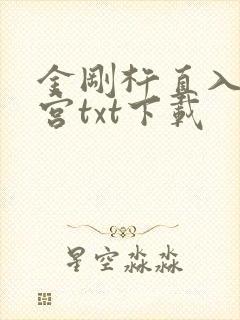 金刚杵直入莲花宫txt下载