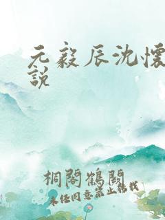 元毅辰沈怀妆小说