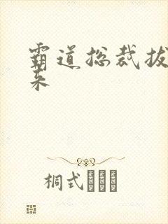 霸道总裁拔不出来