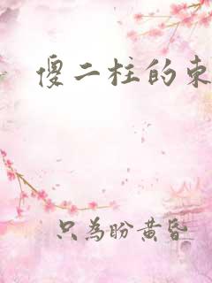 傻二柱的东西大