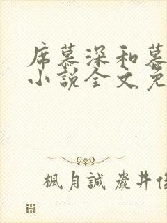 席慕深和慕清泠小说全文免费阅读