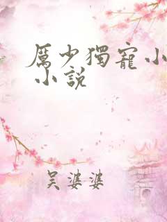 厉少独宠小娇妻 小说