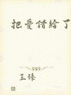 把爱错给了你