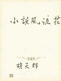 小说风流花少