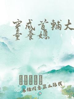 穿成首辅大人的童养媳