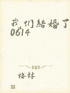 我们结婚了130614