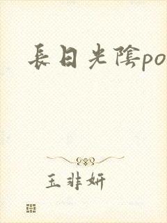 长日光阴po