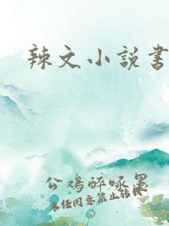 辣文小说书包网