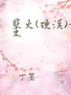 孽火(硬汉)今又