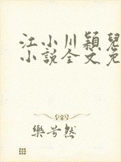 江小川颖儿穿越小说全文免费阅读