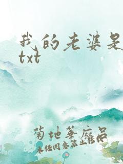 我的老婆是上司txt