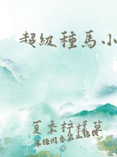 超级种马小说