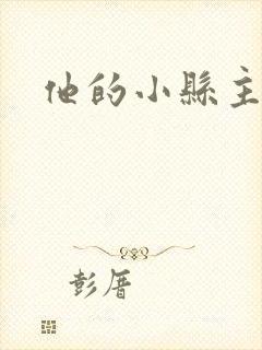 他的小县主
