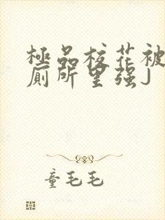 极品校花被拉到厕所里强J